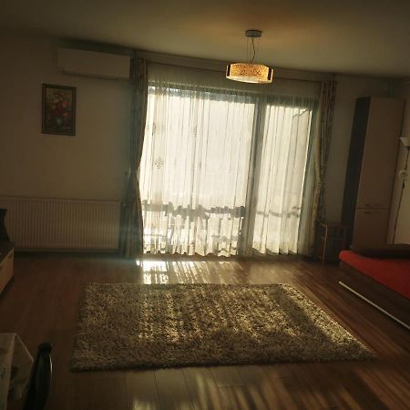 Studio Green Apartment Targu-Mures Bagian luar foto