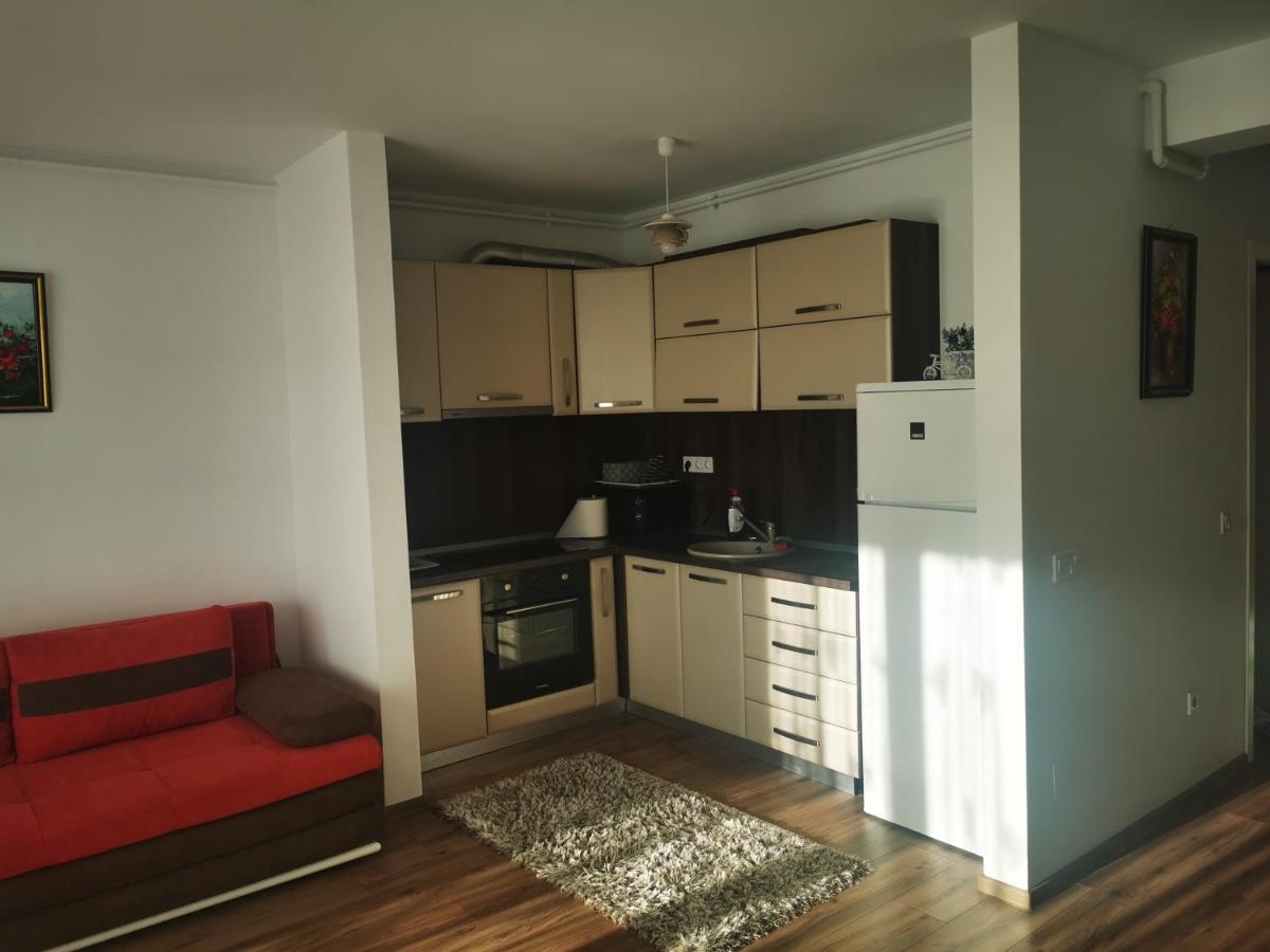 Studio Green Apartment Targu-Mures Ruang foto
